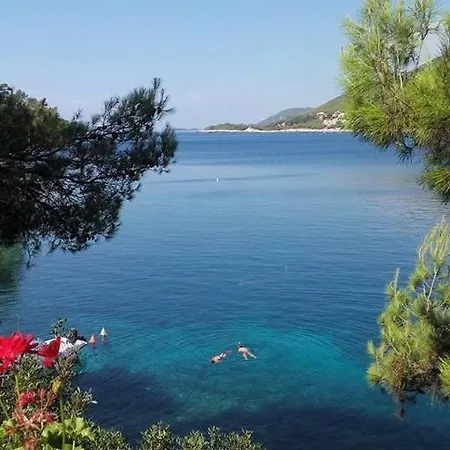 Apartment Apartman Uz More Smokvica (Korcula)